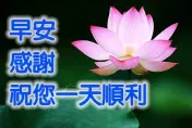 別小看長輩圖！專家曝「經常性社交清單」可降憂鬱症風險