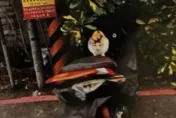 機車違停紅線遭開紅單　他見「超萌一幕」：覺得無所謂了