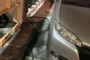台中詐騙屁孩「火攻偵防車」害友遭聲押！　共犯移送少年法庭