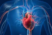 別再用「168斷食法」了！美最新研究：恐增91%心血管死亡風險