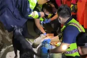 險遭強風奪命！台中情侶夜遊「知高圳步道」賞美景　一陣風害男子跌落邊坡
