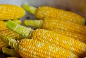 玉米便宜但烤的卻超貴！　網曝主因：100元真的算便宜