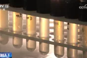 探究外星生命！天舟七號攜「厭氧古菌」上太空　測試極端環境能否存活