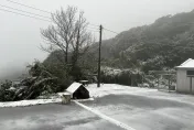 快訊/台北終於下了雪！陽明山鞍部「雨夾雪」累積1公分　二子坪有冰霰