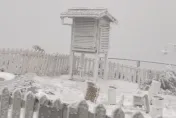 影/玉山下大雪！銀白世界零下4度　美景盡收眼底
