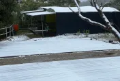 三峽清肺農場也下雪了！佛山寺入口設管制　加雪鏈才能通行
