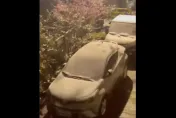 假消息！網瘋傳高雄茂林情人谷下雪影片　茂管處急澄清