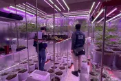 影/台南小吃店暗藏大麻農場！警員喬裝路人率警犬「馬肯」立大功