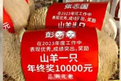 這公司太狂！發13萬年終再送山羊　「生鮮紅包」照震撼網