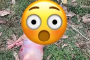 疑人類與母牛交歡！詭異「半人牛」誕生　專家出面說話了