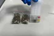影/情侶吵架失手了！大麻掉一地　警察現場抓獲送辦