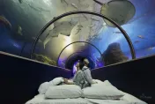 春節出遊/澎湖走春景點推薦！14公尺拱型海底隧道、最古老眷村都在這