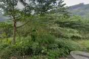快訊/嘉義中埔驚傳嬰屍！父親自爆「是我處理掉的」檢警搜山中