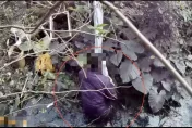 影/警破販毒集團破門逮人　毒販跳窗糗困水溝求救