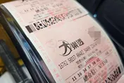 台中店貓「叫個不停」喜開大樂透頭獎　專家：看見財神