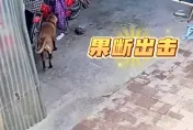 影/汪汪隊立大功！電動單車充電爆火光燃燒　機警犬1舉動成功阻止火災
