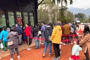 影/初一踏青走春！搶體驗帶草泥馬散步　遊客「扮龍裝」搶拿獎金