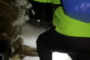 影/初一攻玉山出憾事！30歲領隊摔落400米山谷亡　天氣惡劣搜救暫撤