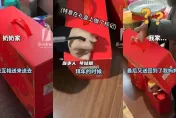 影/「堅果奇幻漂流」！她帶禮盒回家拜年「被轉送7手」　10天後又回自己手上