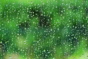 雨水養生要「慢」活！　中醫推疏肝排濕茶飲、按3穴位