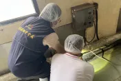 影/吃豆乾驚見超噁「老鼠乾屍」　台中衛生局稽查廠商喊冤「賣到高雄包裝」