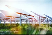 聯合再生連3飆！政策利多與AI電力需求推升漲停