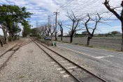 彰化「國家綠道」30行道樹慘遭毒手　注毒、火焚、剝皮害枯死...縣府急揪兇