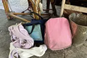 低收入戶3姊弟被車撞！腦出血昏迷住ICU　高昂醫療費恐壓垮全家