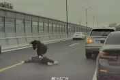 影/賓利男逼停BMW車主暴打「還拔行車紀錄器」　竟是「表兄弟」經營糾紛起衝突