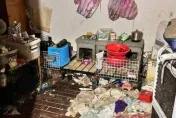 房東見滿屋垃圾還有 「數十具貓狗乾屍」　女租客搞消失辯：餓死的