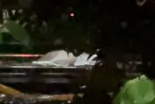 快訊/開車衝撞八堵派出所嫌犯　徒步逃逸闖越鐵道遭火車撞碎屍塊四散