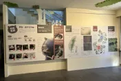 登山順便看熊熊！玉山塔塔加「台灣黑熊特展」開跑　園內至少139隻
