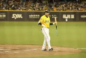 讀賣巨人來台/敲交流賽中信兄弟首安！　隊長王威晨：感動、幸福、珍惜