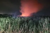 彰化甘蔗園暗夜祝融！2公里外見大火球　鄰雞舍險變烤雞