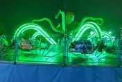 影/恐怖遊樂場！一對男女玩「飛天章魚」甩飛15公尺外　撞柵欄滿身血命危