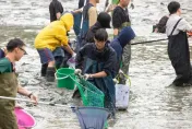 中興湖百人清池「吸引日媒參與」　撈出300生物與「20年前Nokia手機」