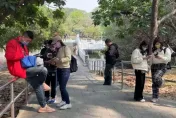 影/台南抓寶人次破10萬！限定寶可夢快閃2天掀熱潮