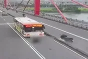 影/恐怖撞擊瞬間！重機男過彎自撞護欄　噴飛滾公車底遭輾斃
