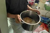 影/台南財運龜日光浴遭擄！警追到他家　電鍋準備做「龜燉飯」
