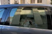 快訊/涉訪視幼童不實！女社工被帶回　她雙手摀臉抵警局