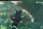 影/餓壞了！超巨鱘龍魚搶食突「張大嘴咬潛水員頭部」　遊客嚇呆驚呼