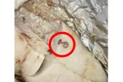 不是吻仔魚！超市黑鱈魚柳「驚見長條寄生蟲」　母為嬰做副食品險吃下肚