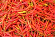 蘇丹紅風波延燒！國產辣椒3月批發價漲逾20元