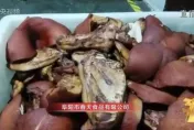 陸「預製菜」食安堪憂！梅干扣肉竟用劣質「淋巴肉」　業者曝：已是公開秘密