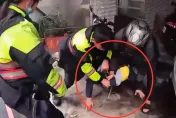 影/土城連續竊盜案嫌犯拒捕狂奔　警手刀追200公尺壓制逮人
