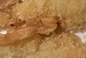 爆料找中天/吃到毛！知名餐廳炸牛蒡藏「體毛」　業者：客人取餐致異物混入