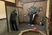 北投「皇池溫泉」又有偷拍外流！2段情侶貼身片瘋傳　業者：都是1年前的