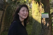 鄭華娟會寫詞譜曲還是咖啡師！萬芳聞她驟逝不捨「放向日葵悼念」