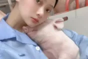 95後美女OL轉當豬保母：月薪25000「同事不是人」煩惱少一半