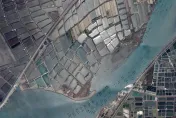 摩斯密碼？台灣西部沿海空拍驚見「詭異小黑點」　林業署曝真相